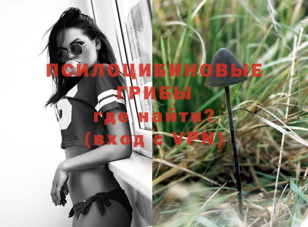 a pvp Куйбышев