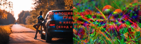 стафф Кукмор