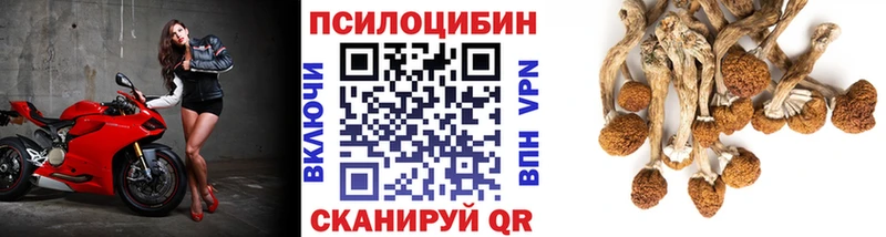 ОМГ ОМГ купить наркотик Луга Галлюциногенные грибы Psilocybine cubensis